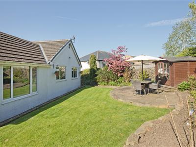 Picture 25